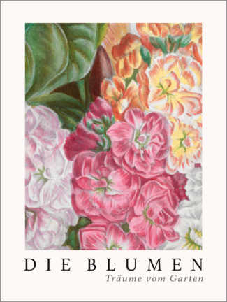 Poster  Album Vilmorin, Die Blumen VI - Elisa Champin