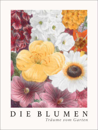 Wandsticker  Album Vilmorin, Die Blumen VII - Elisa Champin