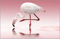 Wandsticker  Flamingo - Doris Reindl
