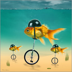 Wandsticker  Goldfische - Mark Ashkenazi