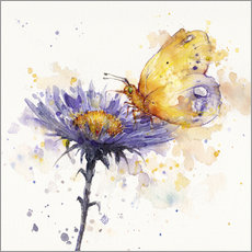 Wandsticker  Schmetterling &amp; Blume - Sillier Than Sally