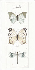 Gallery Print  Schmetterlinge und Libelle XIV - Lisa Audit