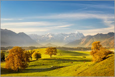 Poster  Bayerischer Herbst mit Zugspitze im Hintergrund - Murnauer Moos - Dieter Meyrl
