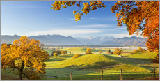 Leinwandbild  Bayerischer Herbst mit Zugspitze im Hintergrund - Murnauer Moos - Dieter Meyrl
