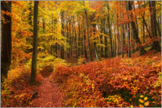Hartschaumbild  Herbst im Laubwald - Wanderkollektiv