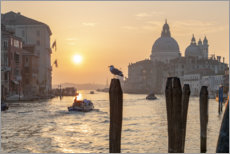 Poster Romantischer Sonnenaufgang in Venedig