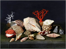 Poster Stillleben mit Muscheln und Korallen
