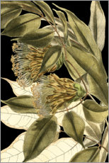 Poster Stillleben mit tropischen Blättern VI