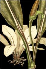 Poster Stillleben mit tropischen Blättern V