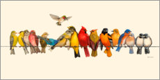 Gallery Print  Vogel Menagerie I - Wendy Russell
