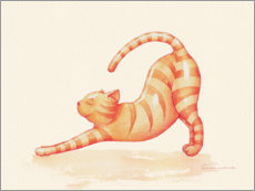 Poster Yoga Katze