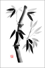 Leinwandbild  Bambus 02 - Péchane