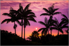 Poster Sonnenuntergang an der Kona Coast