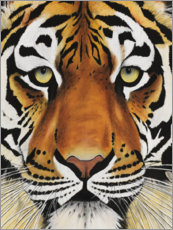 Poster Tigergesicht