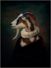 Poster Porträt einer Ziege