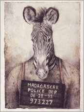 Poster  Polizeifoto mit Zebra - Mike Koubou