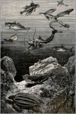 Poster  20.000 Meilen unter dem Meer - Alphonse Marie de Neuville