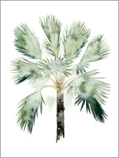 Poster Tropische Palme