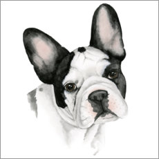 Poster Französische Bulldogge