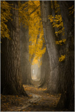 Poster Herbst Weg