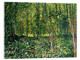 Acrylglasbild  Bäume und Unterholz - Vincent van Gogh