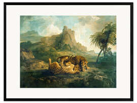 Gerahmter Kunstdruck  Spielende Leoparden - George Stubbs