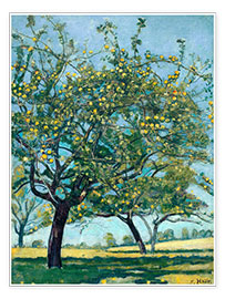 Poster Hofstatt mit Apfelbäumen