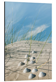 Alubild  Nordsee - Sanddüne mit Muscheln - Reiner Würz