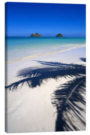 Leinwandbild  Palmenschatten auf Hawaii - Douglas Peebles