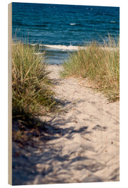 Holzbild  Weisse Sanddüne auf der Insel Rügen - CAPTAIN SILVA