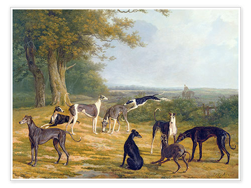 Poster Neun Windhunde in einer Landschaft