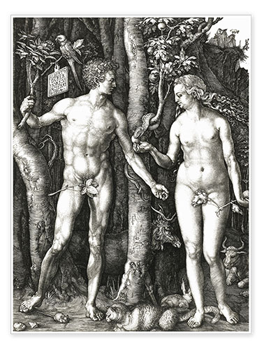 Poster Adam & Eva