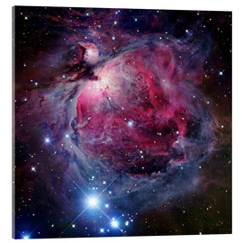 Acrylglasbild  Der Orion-Nebel - Robert Gendler