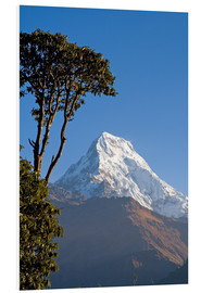 Hartschaumbild  Annapurna - Nepal - Walter Quirtmair