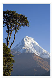 Poster  Annapurna - Nepal - Walter Quirtmair