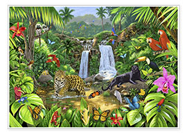 Poster  Leben im Regenwald - Chris Hiett