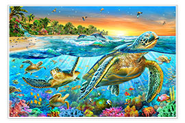 Poster Glückliche Schildkröten