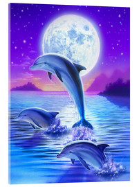 Acrylglasbild  Delfinromantik - Robin Koni
