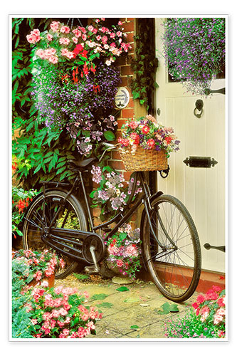 Poster Fahrrad mit Blumen