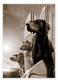 Poster  Surferhunde - Garry Walton
