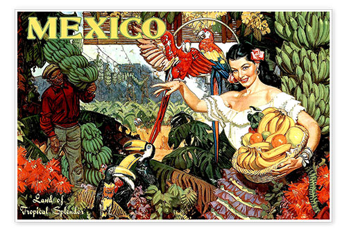 Poster Mexiko
