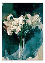 Poster Weiße Lilien
