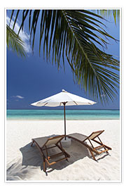 Poster Liegestühle an tropischem Strand