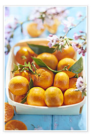 Poster  Sommersüße Mandarinen - K&L Food Style