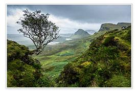 Wandbild  The Quiraing, Isle of Skye, Schottland - Markus Ulrich