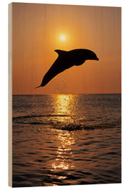 Holzbild  Delfin bei Sonnenuntergang - Tom Soucek