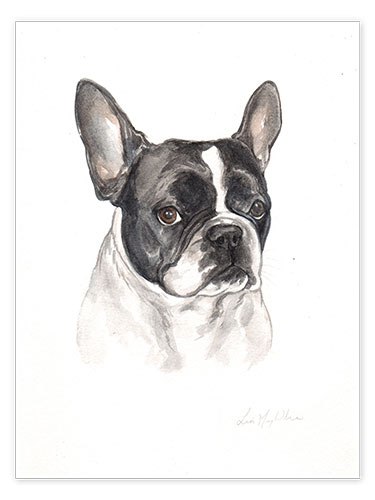 Poster Französische Bulldogge, schwarz-weiß