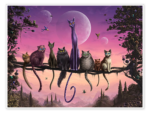 Poster Katzenhimmel
