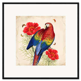 Gerahmter Kunstdruck  Oh My Parrot III - Mandy Reinmuth