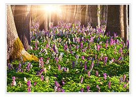 Poster Wiesenblumen im Frühjahrswald